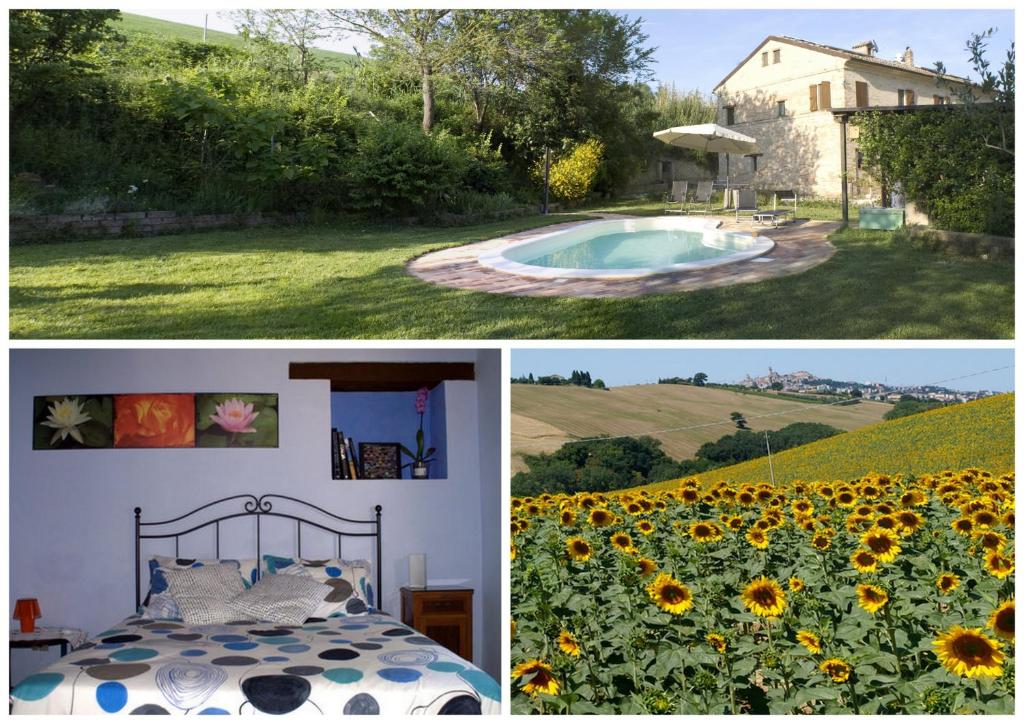 een collage van foto's met een huis en een veld met zonnebloemen bij Casa il Girasole con piscina nelle Marche in Macerata