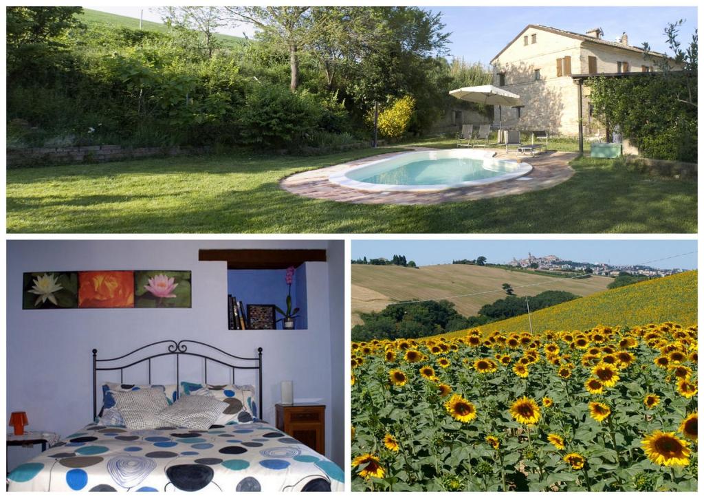 un collage de fotos con una casa y un campo de girasoles en Casa il Girasole con piscina nelle Marche, en Macerata