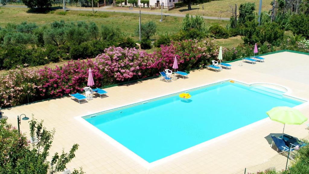 una piscina en un complejo con sillas y flores en il Nazareno - Il Coppaio, en Cecina