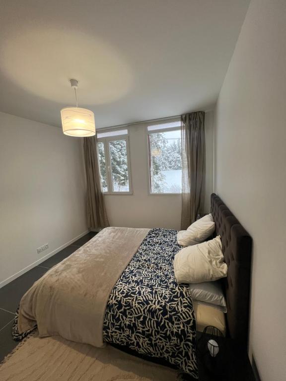 1 dormitorio con 1 cama y 2 ventanas en Élégance Alpine à Morbier en Morbier