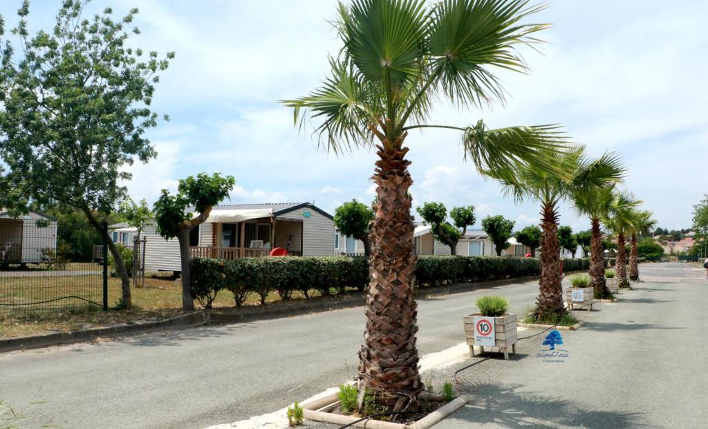 Zahrada ubytování Mobilhome Côté mer - 3 Chambres - Climatisé - TV