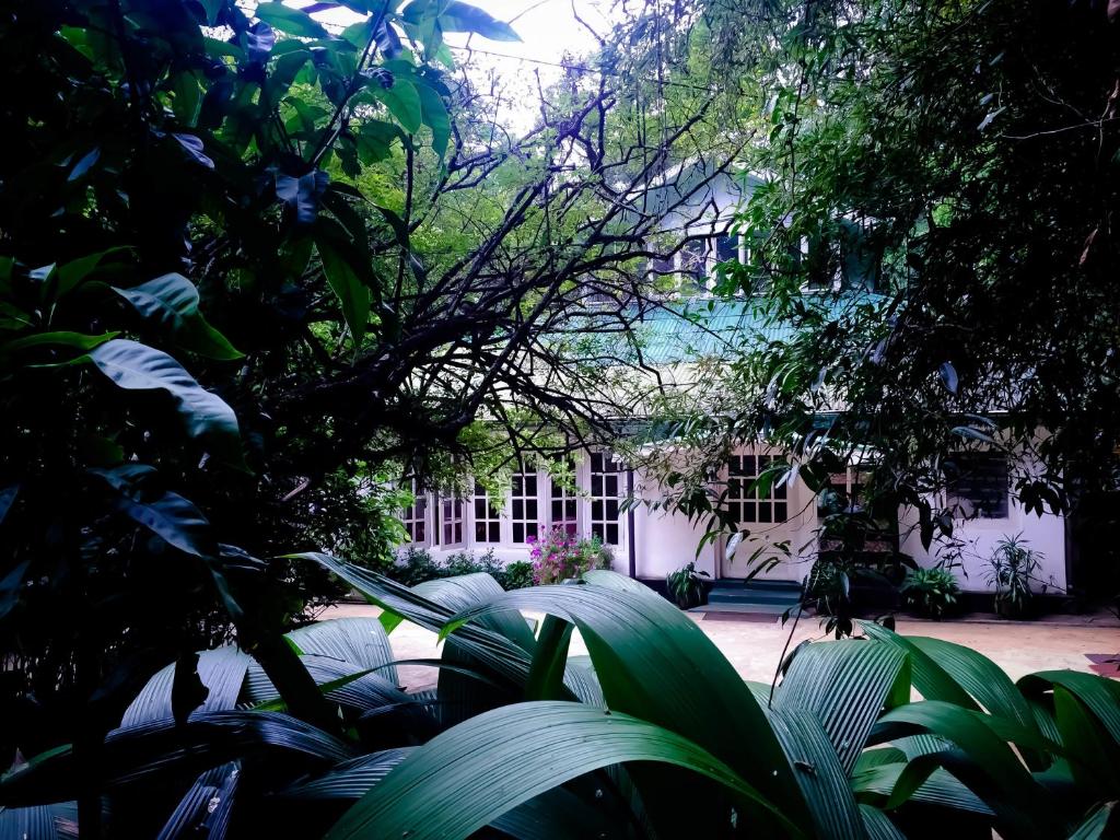 ein Gebäude mit vielen Pflanzen davor in der Unterkunft Surrey Bird Sanctuary & Holiday Resort in Welimada