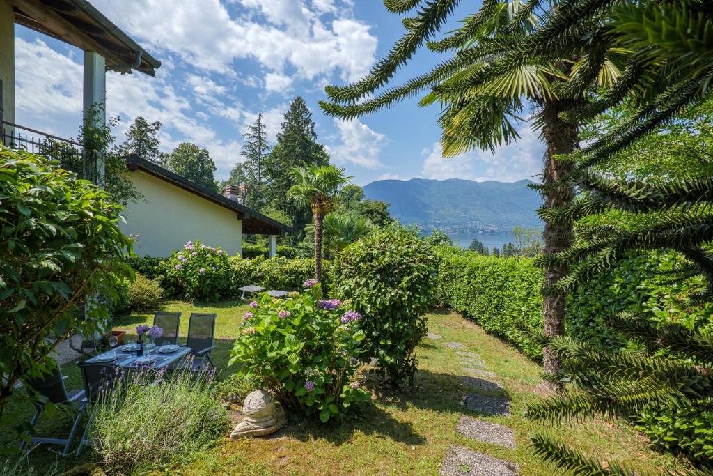 a garden with a palm tree and a house at Casa Salea in Castelveccana
