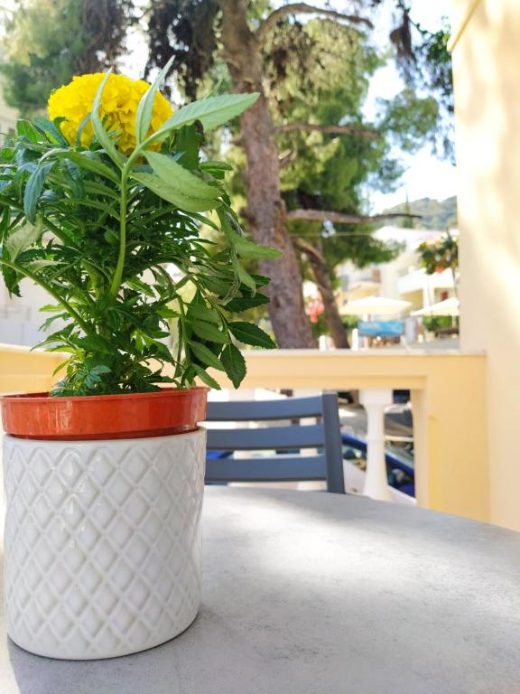 Balkón nebo terasa v ubytování Chrysanthes No4