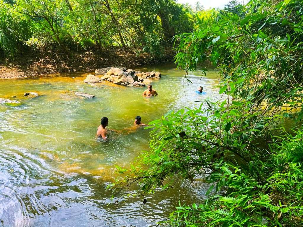 een groep mensen die in een rivier zwemmen bij Roshara Nalla in Giriulla