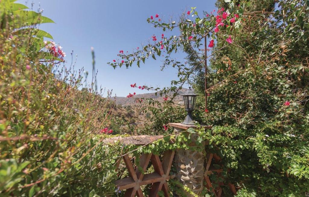 Zahrada ubytování Finca Los Burros