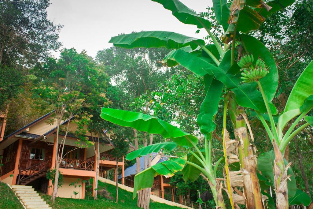 Сад в Chaipura Resort
