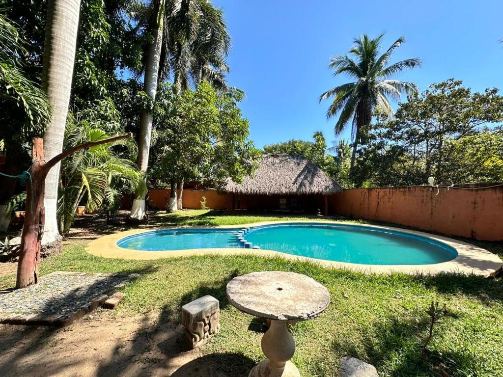 a small swimming pool in a yard with palm trees at Hotel Costa Mar in Troncones