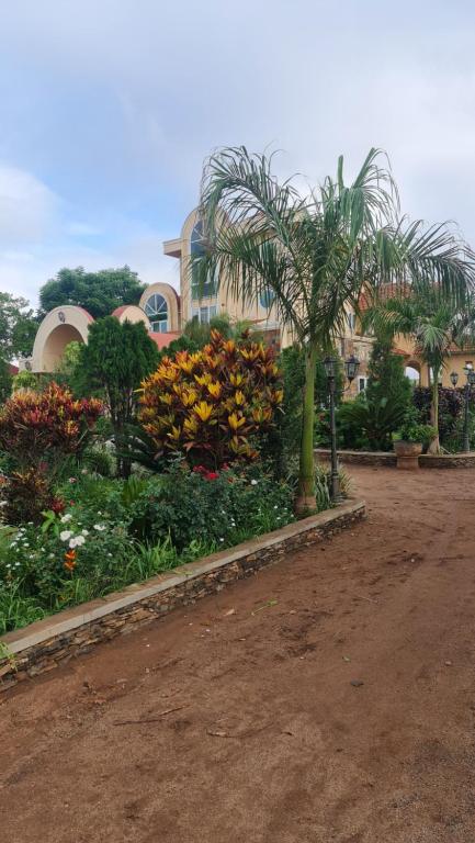 un jardin avec des fleurs et des palmiers devant un bâtiment dans l'établissement Ayonthoo!, à Lilongwe