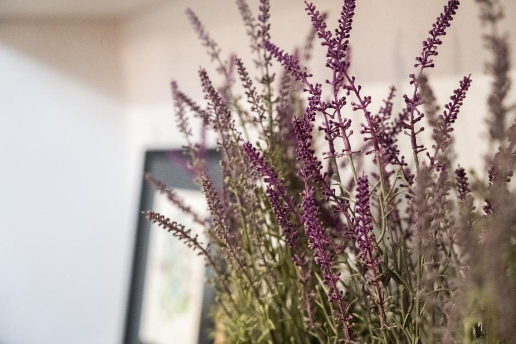 Mirone - Suite Apartments Catania Centro - 9