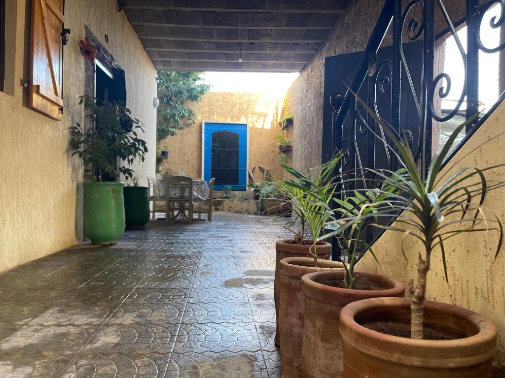 a hallway with potted plants on the side of a building at Riad Targante Takate 1 in Sidi Bibi