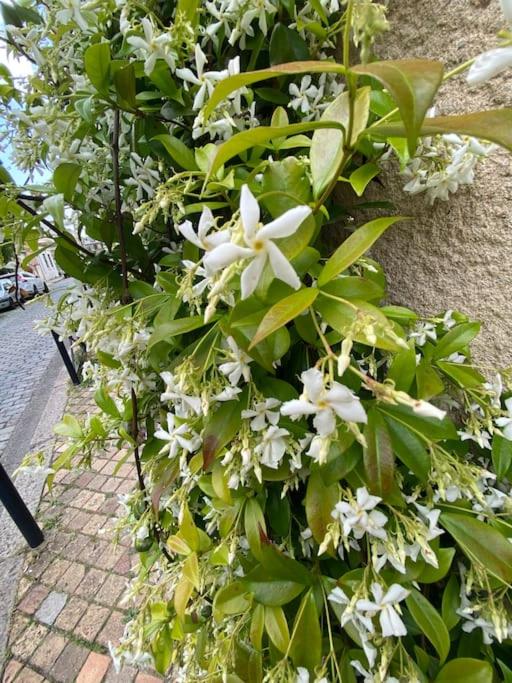 studio lumineux à BORDEAUX CHARTRONS / JARDIN PUBLIC - 15