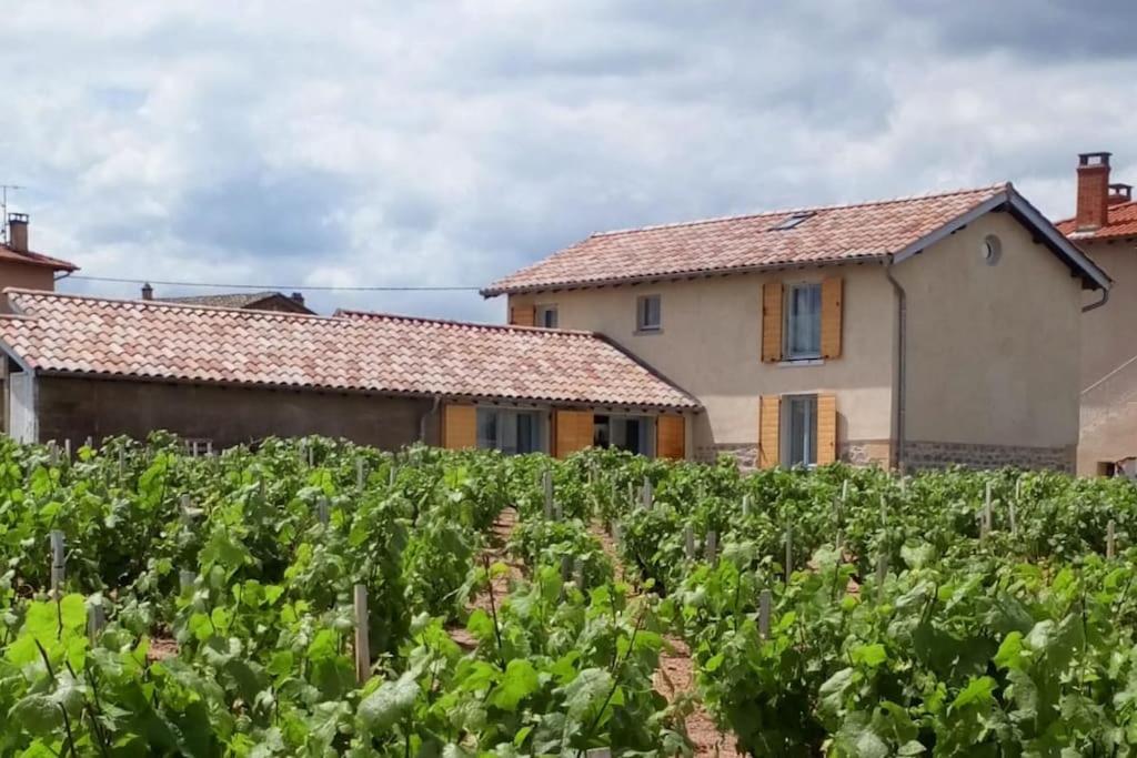un vignoble devant une maison dans l'établissement Maison entière au cœur des vignes des Trois Bacchantes !, à Saint-Étienne-la-Varenne