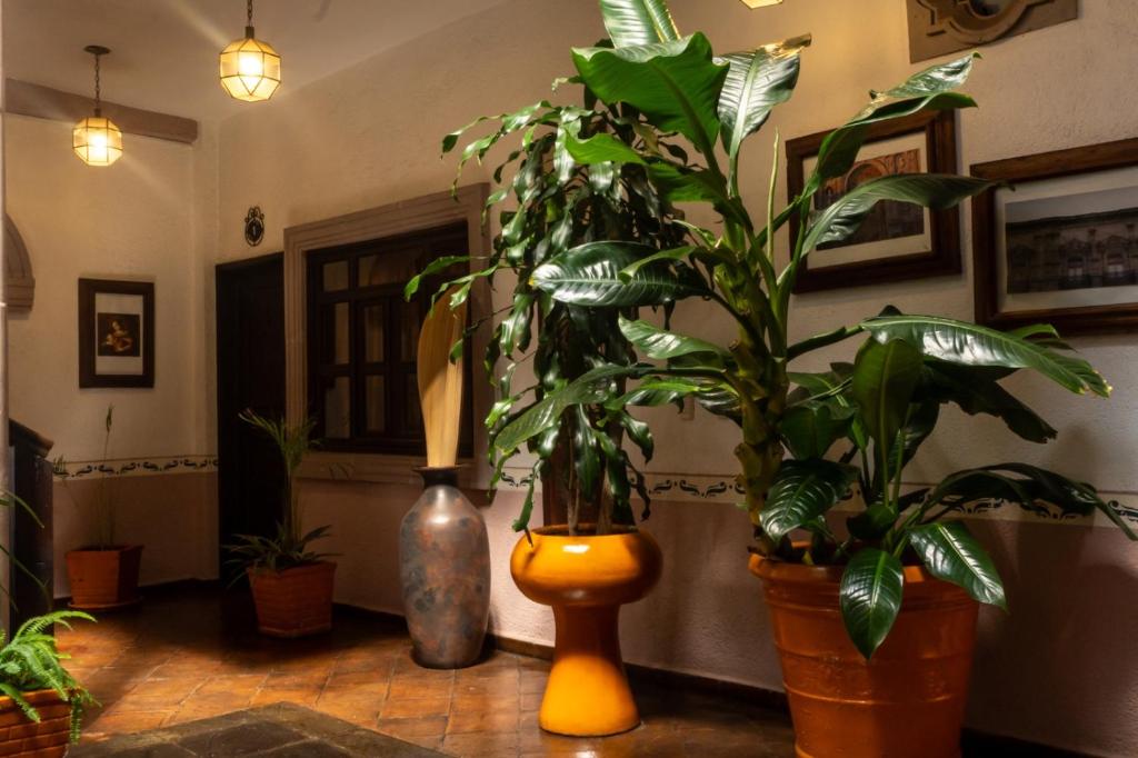 Fotografie z fotogalerie ubytování Hotel Refugio Victoria v destinaci Morelia