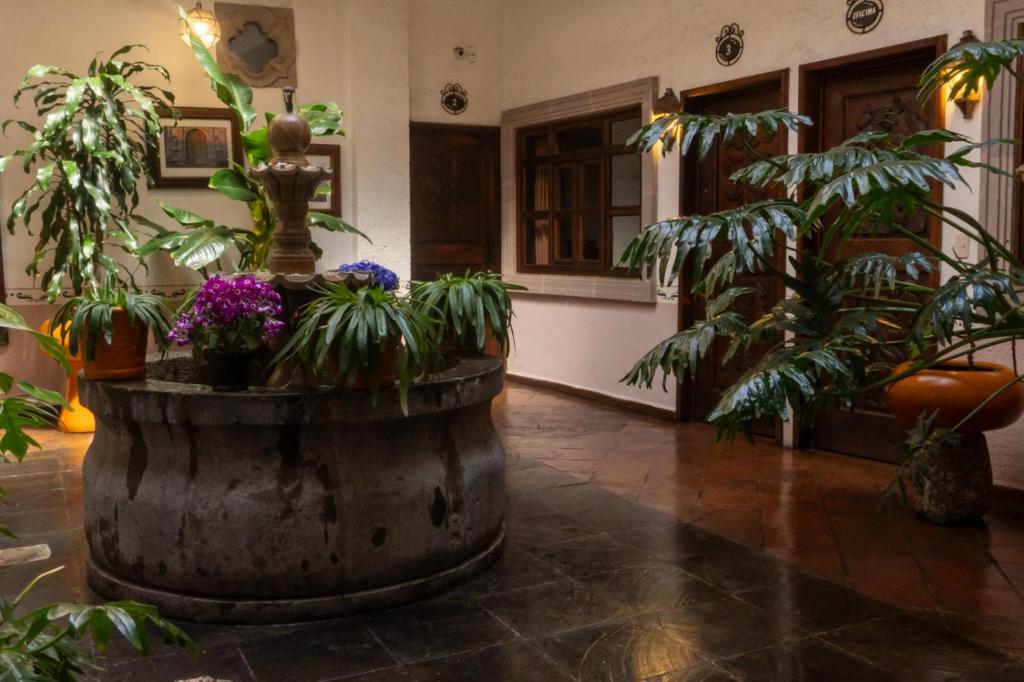 Zahrada ubytování Hotel Refugio Victoria