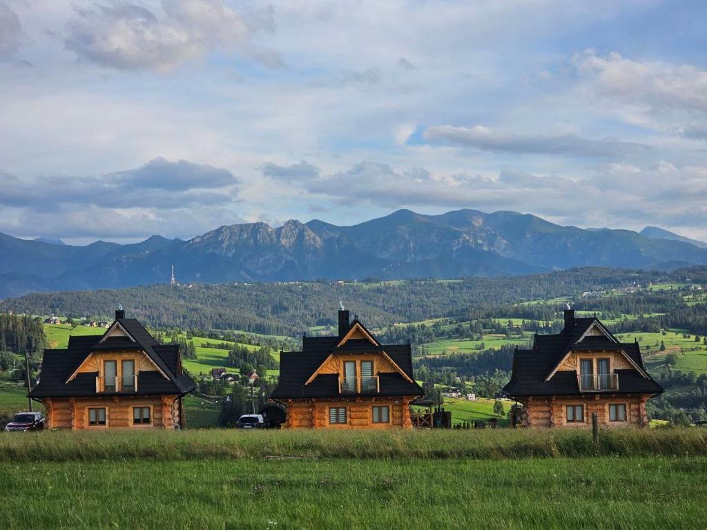 two houses in a field with mountains in the background at Alpine Chalet with Jacuzzi and Sauna in Czerwienne