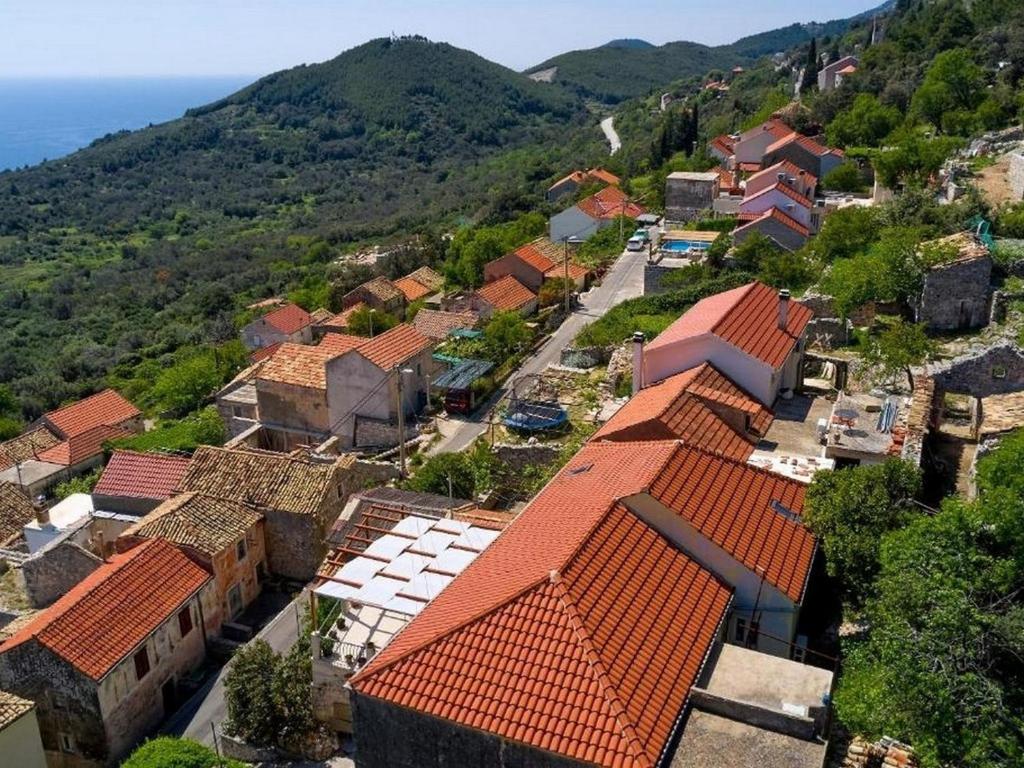 an aerial view of a village with red roofs at Holiday house with a parking space Babino Polje, Mljet - 22324 in Babino Polje