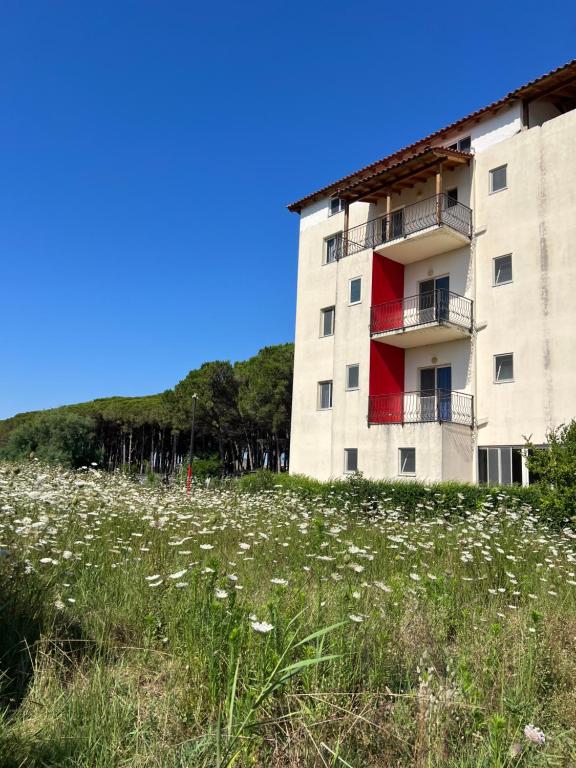 a building with a field of flowers in front of it at Pond Side in Fier