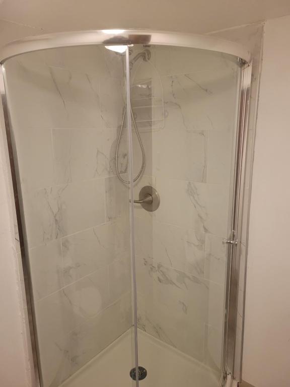 eine Duschkabine mit einer Glastür und einer Dusche in der Unterkunft Cozy home in Washington Heights in Chicago