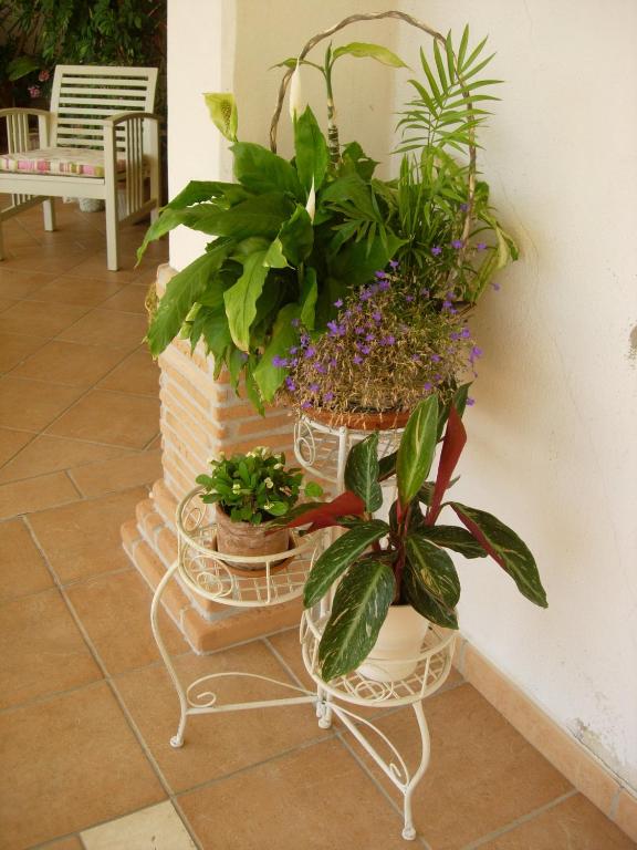 A garden outside B&B Il Cantico