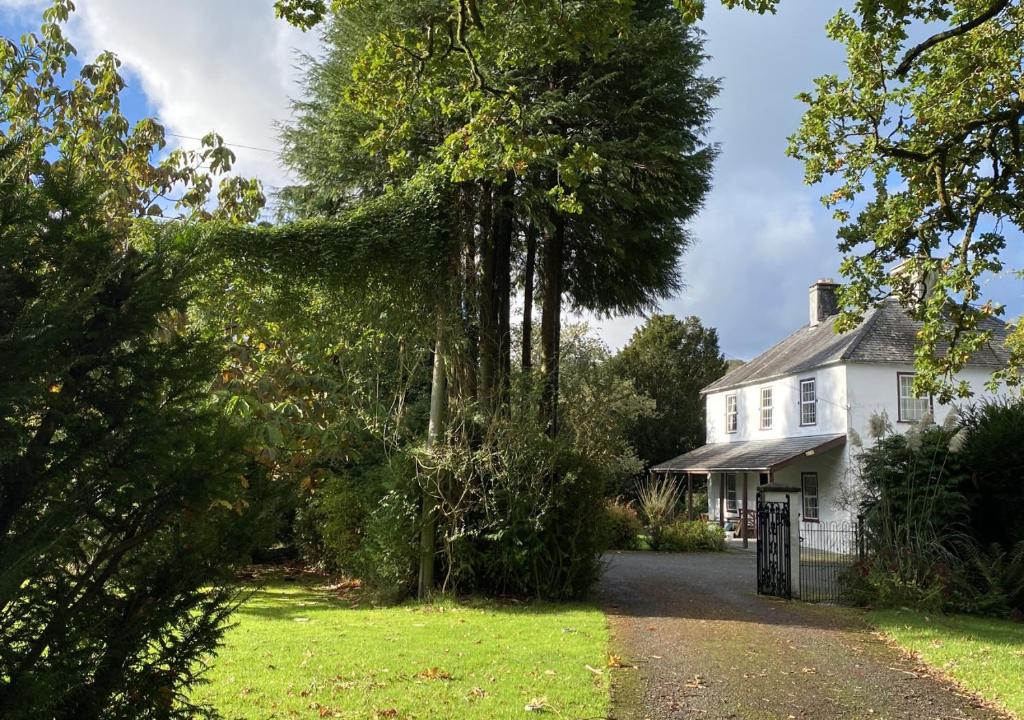 a house with a large tree in the yard at Aberhiriaeth Hall in Cemmaes