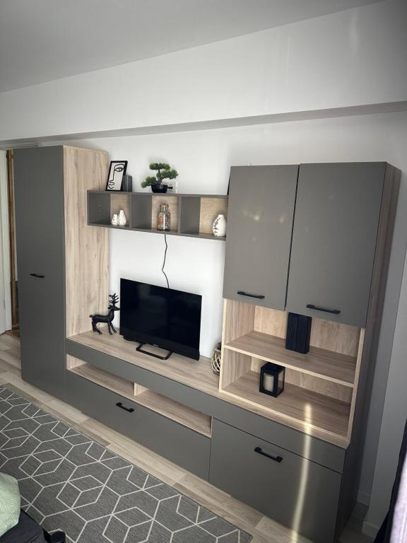 Kuchyň nebo kuchyňský kout v ubytování Straja View Apart