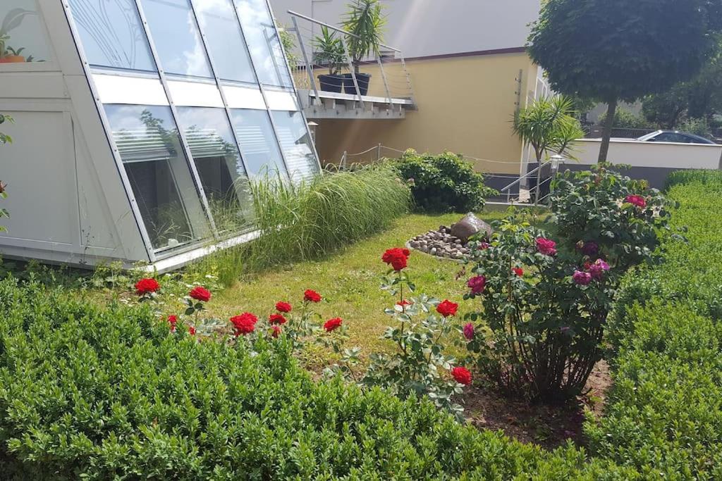 un giardino con fiori rossi di fronte a un edificio di Guest RooM a Neumarkt in der Oberpfalz