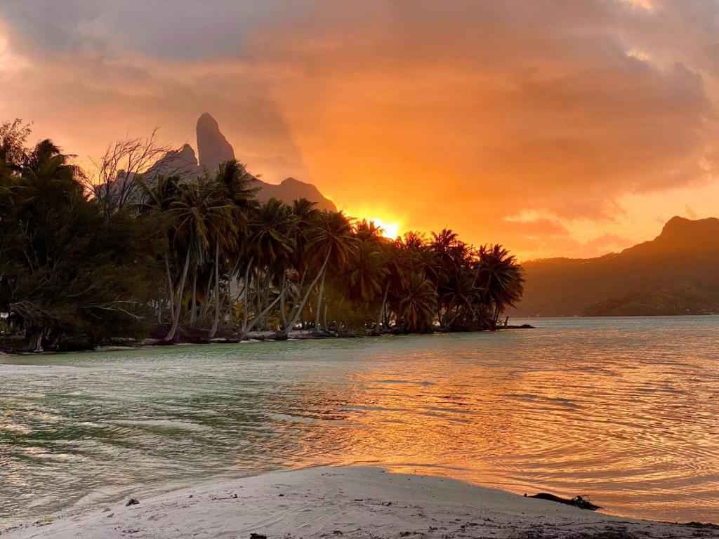 einen Sonnenuntergang am Strand mit Palmen und dem Meer in der Unterkunft ALAROOTS BORA BORA CAMP in Bora Bora