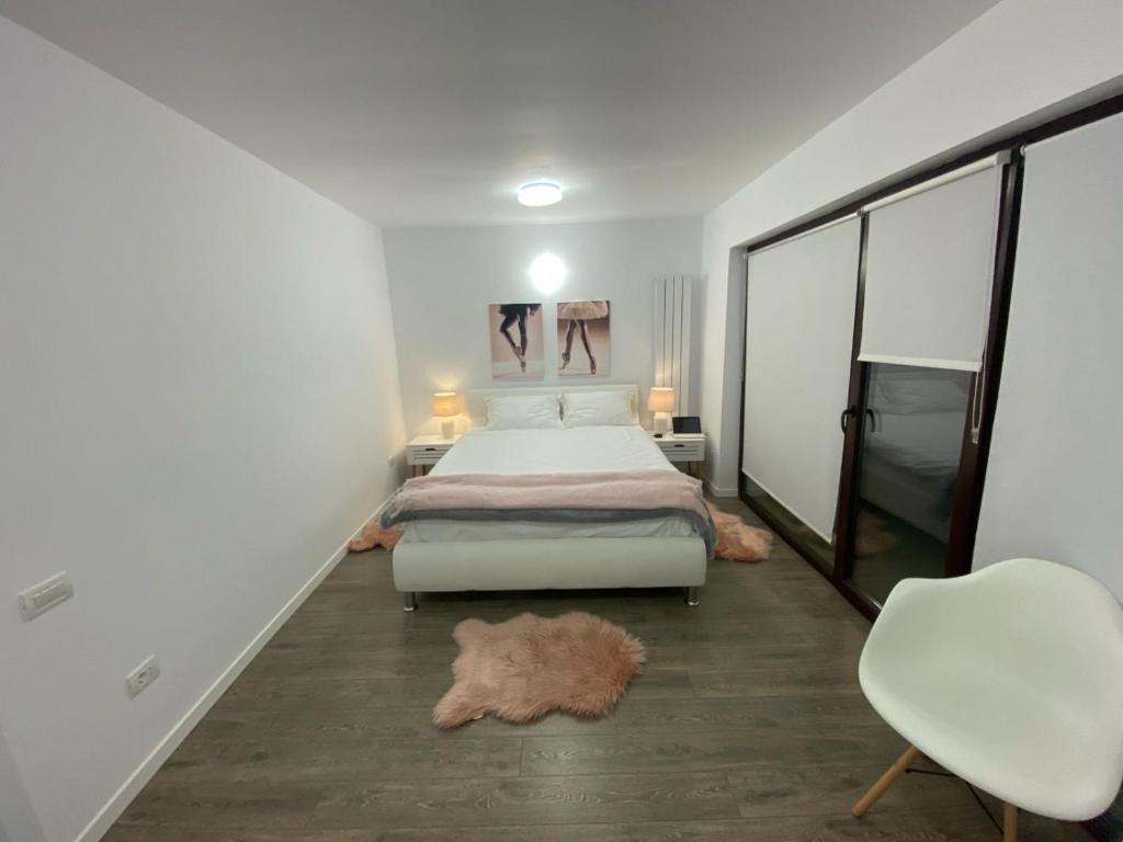 1 dormitorio con 1 cama y 2 perros en el suelo en Fantastic view en Piteşti