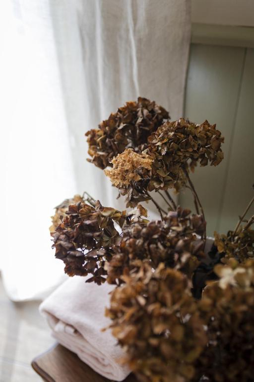 Fotografie z fotogalerie ubytování Le Petit Jardin, Gîte en baie de Somme v destinaci Cahon