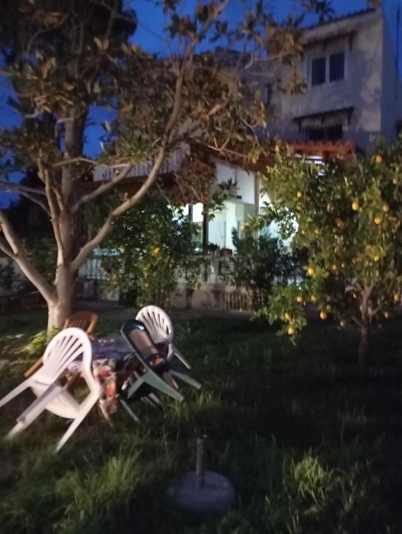 Anna's Apartment and Studio - 18