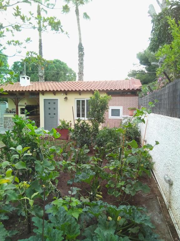 Anna's Apartment and Studio - 1