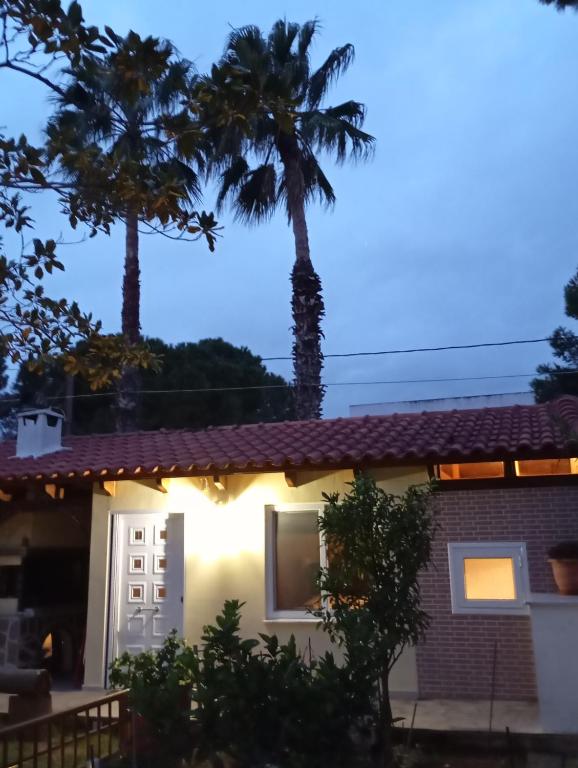 Anna's Apartment and Studio - 3