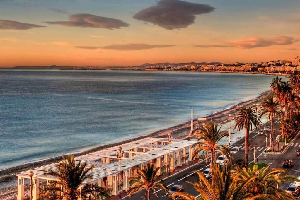 une vue sur une plage avec des palmiers et l'océan dans l'établissement Studio de charme hyper centre, à Nice