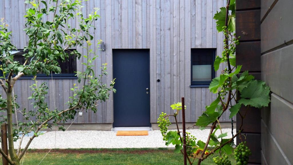 Ein Garten an der Unterkunft LIEBLINGSECK nachhaltige 5-Sterne Ferienwohnung direkt am Chiemsee