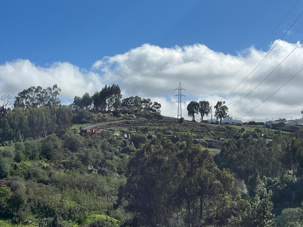 ein Hügel mit Bäumen und ein Turm drauf in der Unterkunft Casa Rural Los Tilos Betancor in Moya