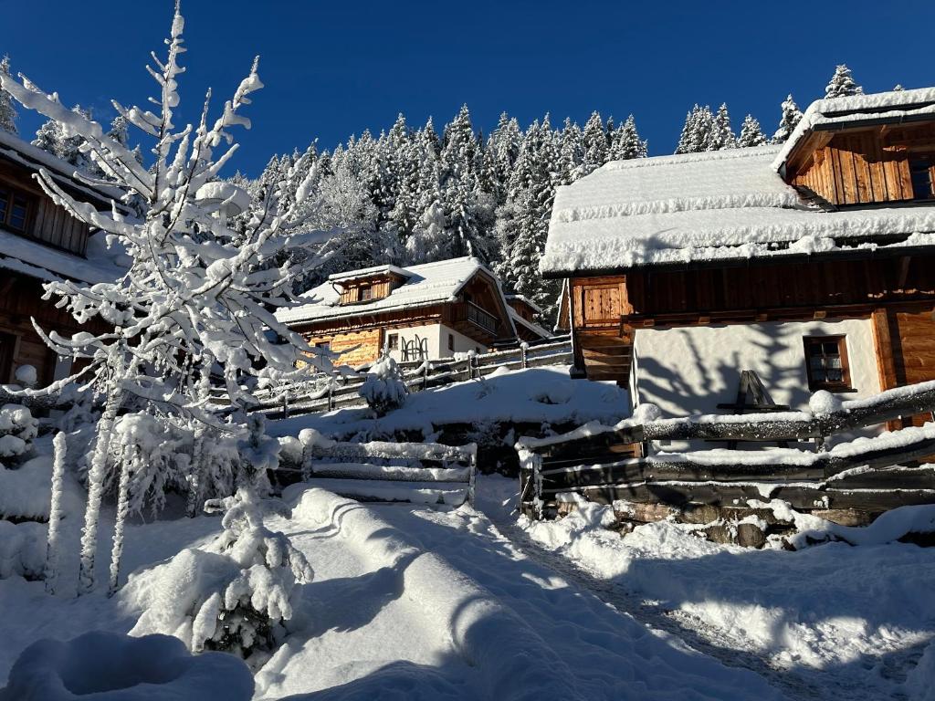 Cabaña de madera cubierta de nieve con un árbol cubierto de nieve en Bergdorf Riesner, en Donnersbachwald