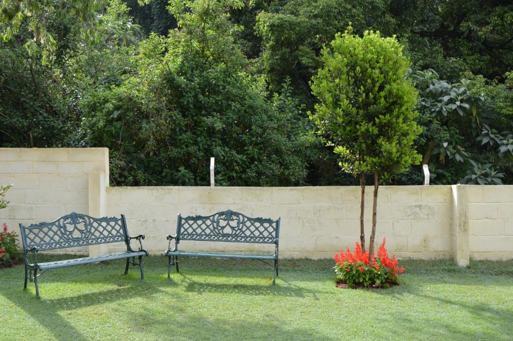 two benches sitting in a yard next to a tree at Serenity Manor in Coonoor