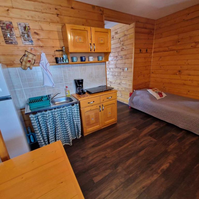 Kuchyň nebo kuchyňský kout v ubytování Alpine Escape Studios