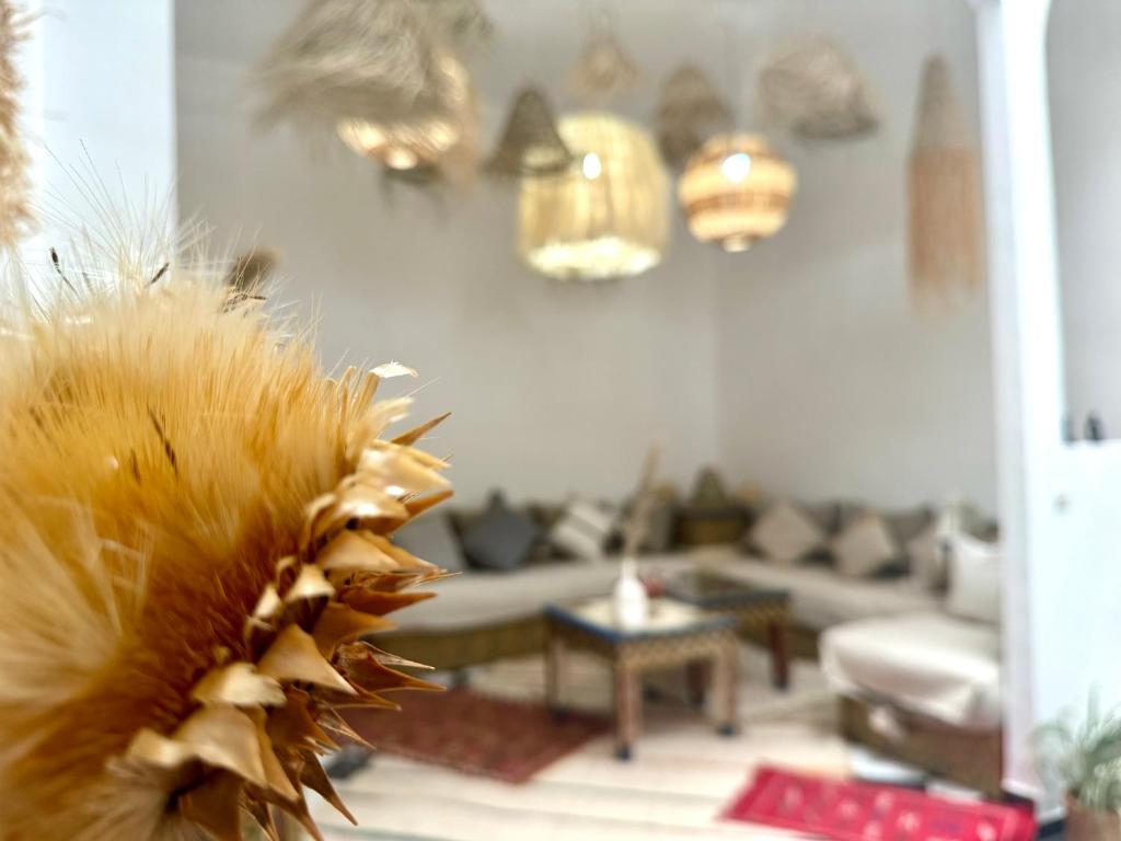 Riad DarDamia — photo 2