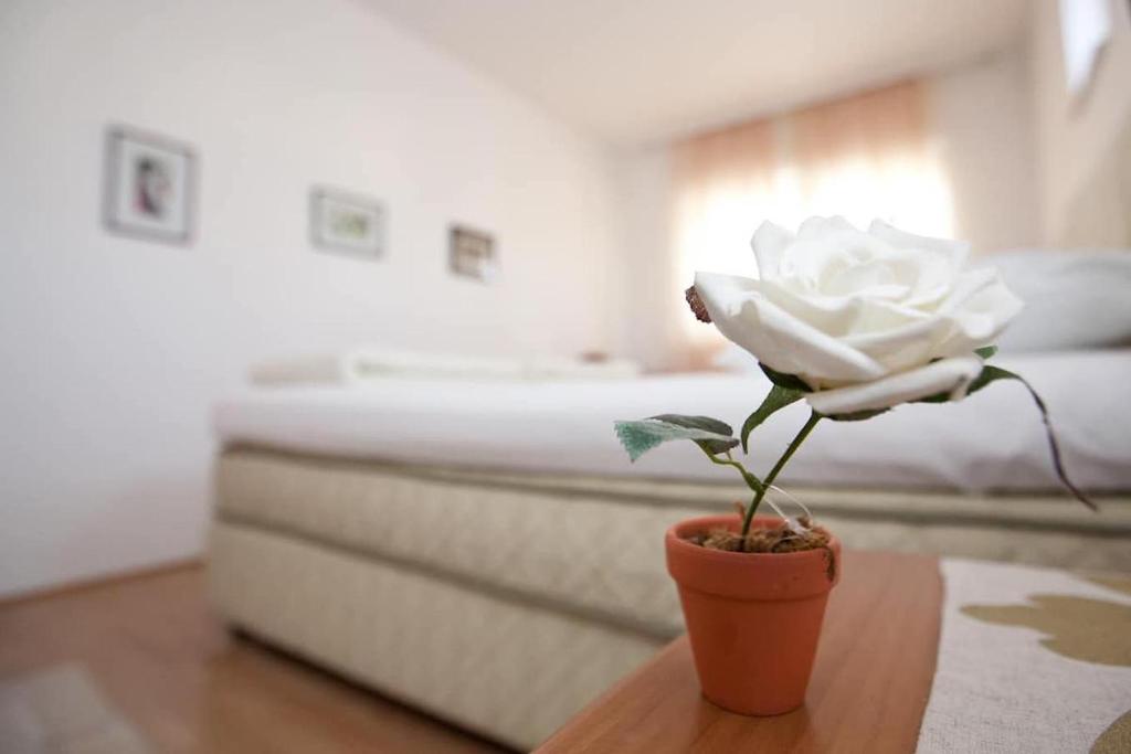 a white rose in a pot on a table in a bedroom at Vila Ida in Zagreb
