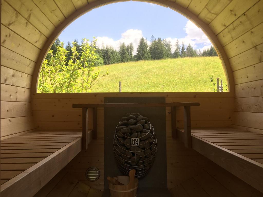 Fotografie z fotogalerie ubytování Schneckenhaus Dachstein West v destinaci Russbach am Pass Gschütt