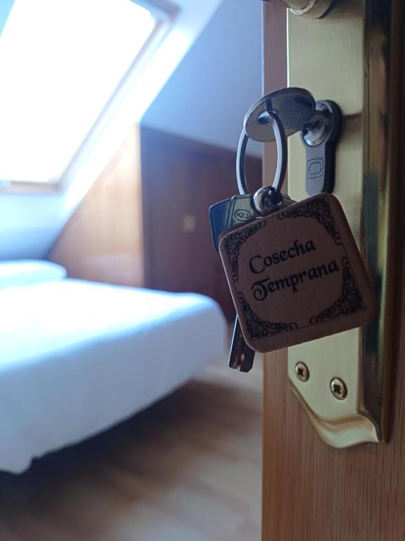a lock on a door in a room with a bed at Aposentos AOVE On Tour in Villacarrillo