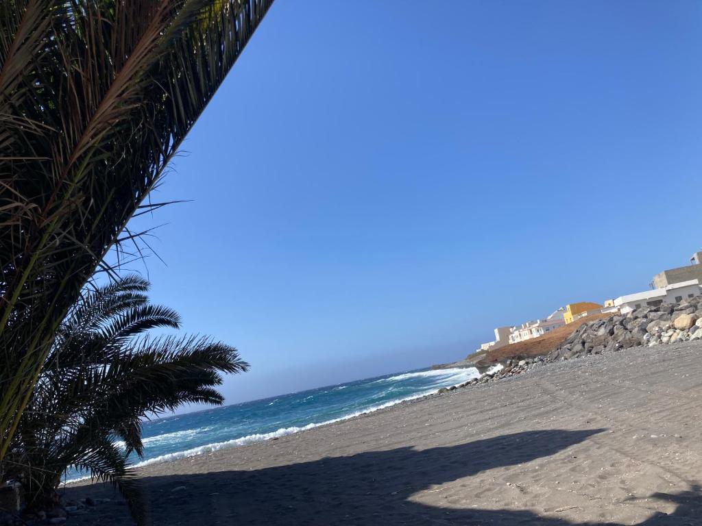 a palm tree on a sandy beach with the ocean at Casa Resi in La Mareta