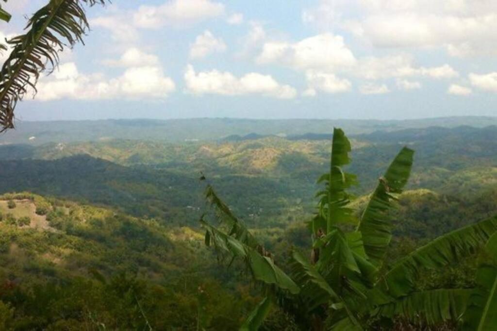 a view of auliculiculiculiculiculiculiculiculiculiculiculic at Andeve's tranquil beautiful home in Montego Bay