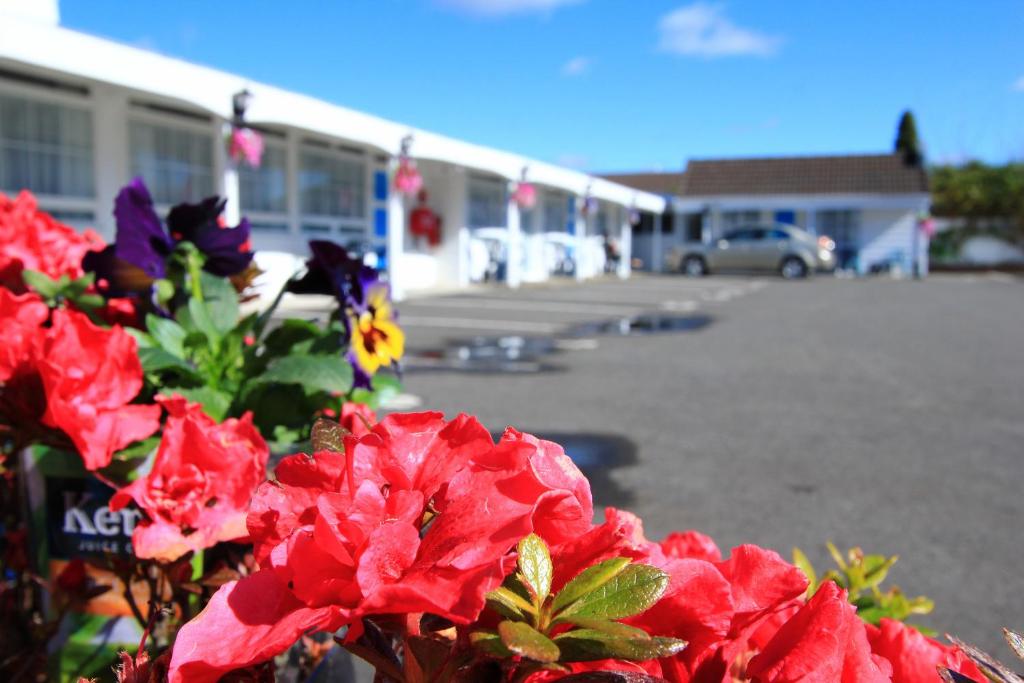 Golden Glow Motel - Resim 14