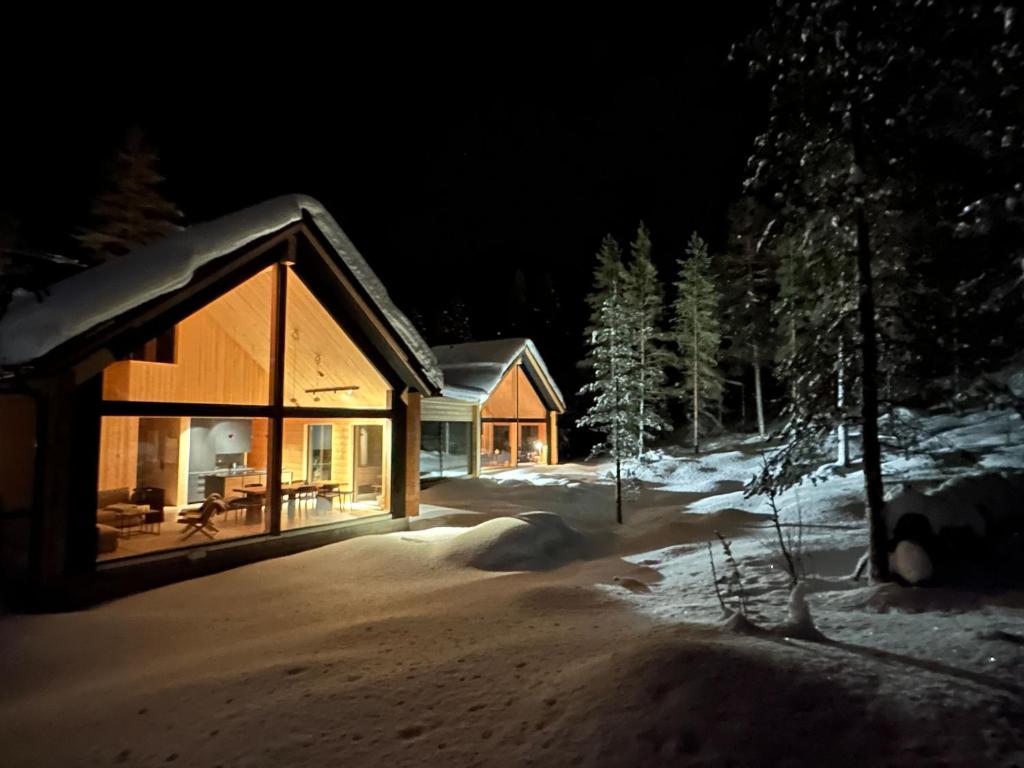 普哈聖山的住宿－Kimmelvilla - Wilderness in your living room，雪中的一个小木屋