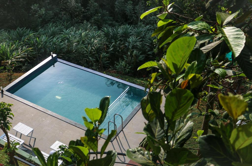 an empty swimming pool in a garden with plants at Edens Munnar in Munnar