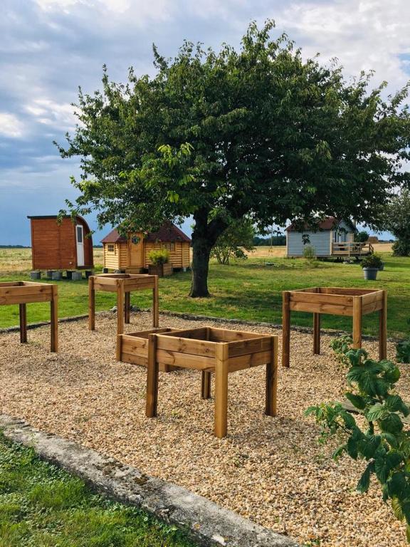 un groupe de bancs dans un parc avec un arbre dans l'établissement La Ménardière, à La Tour-Saint-Gelin