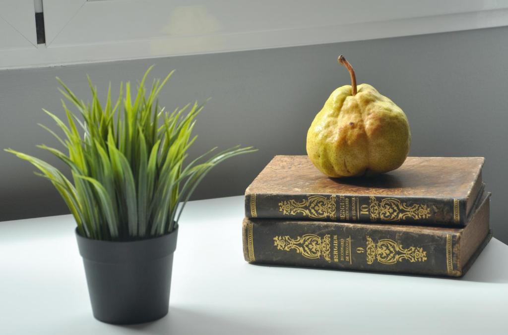 La Casa Verde - Ruzafa - 9